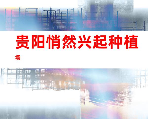 贵阳悄然兴起种植场